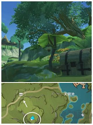 原神须弥容易漏掉的宝箱