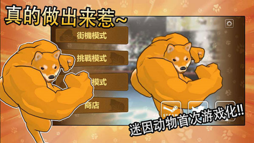 动物之斗全角色解锁无广告-动物之斗下载英雄全解锁版v1.0.11