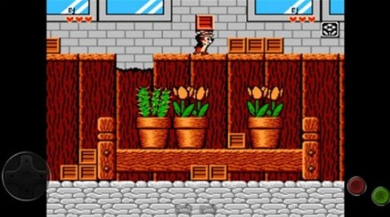 松鼠大战重制版下载安装