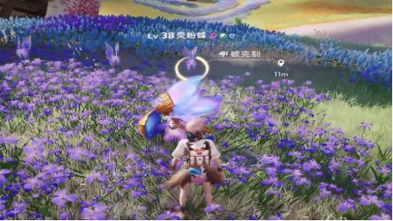 伊莫女巫草怎么样