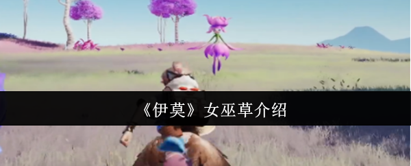 伊莫女巫草怎么样