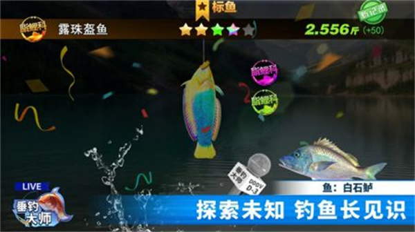 垂钓大师免广告版
