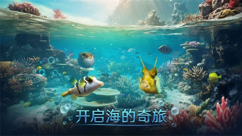 小小水世界破解版