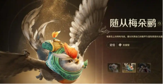 怪物猎人旅人共斗技怎么玩