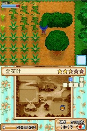 牧场物语风之集市安卓汉化版下载v2.5.2.2