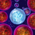 星球吞噬2无敌版