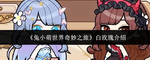 兔小萌世界奇妙之旅白玫瑰是谁