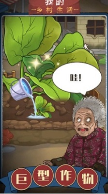 我的乡村生活破解版下载安装